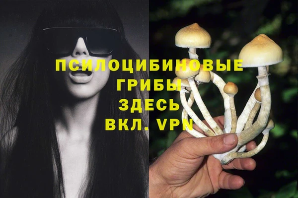кокс Богданович