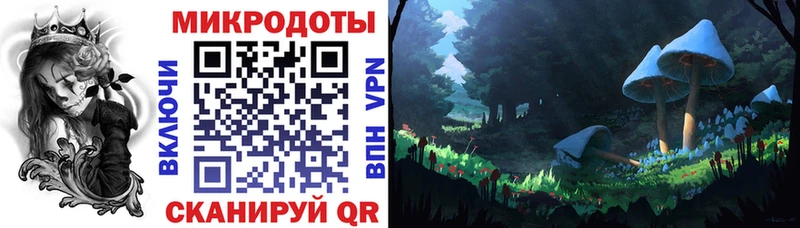 Псилоцибиновые грибы Psilocybine cubensis  Киренск 